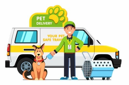 Pet Delivery